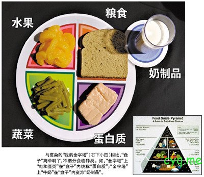 最新健康饮食指南图 “我的盘子”取代”我的金字塔”