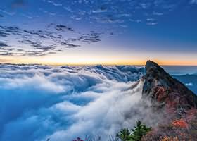 tar 压缩所有子目录下的指定文件格式