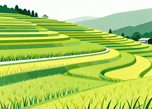 英语自然拼读法