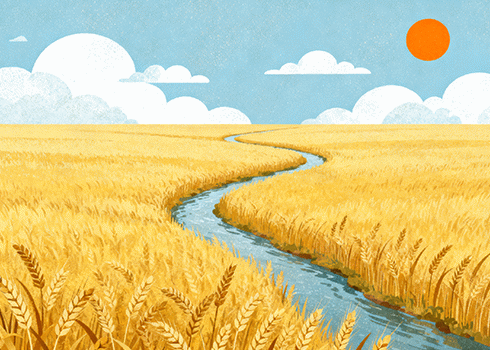 WikipediA 自由的百科全書 中文版访问不了