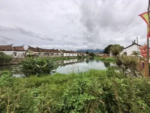 埭美古民居之旅：一场意外的发现